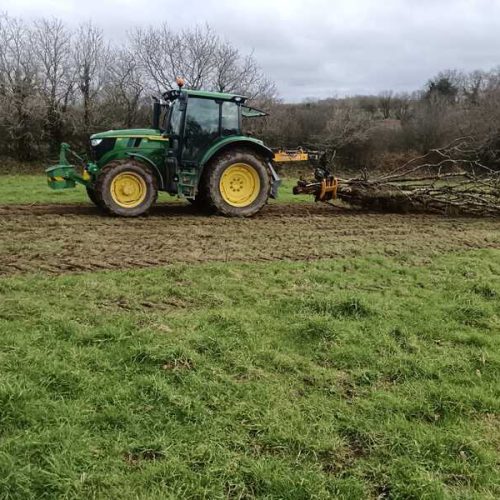 Finistere Bois Elagueur A Landerneau Grappin 1