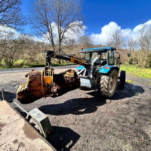 Finistere Bois Elagueur A Landerneau Grappin 3
