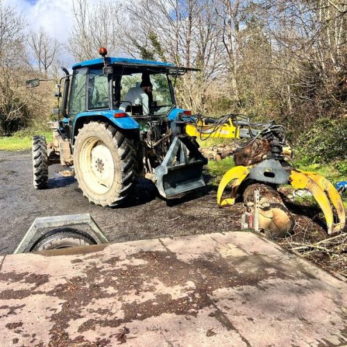 Finistere Bois Elagueur A Landerneau Grappin 4
