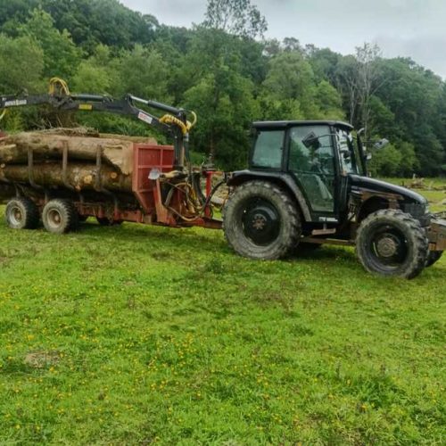 Finistere Bois Elagueur A Landerneau Remorque Forestiere 2
